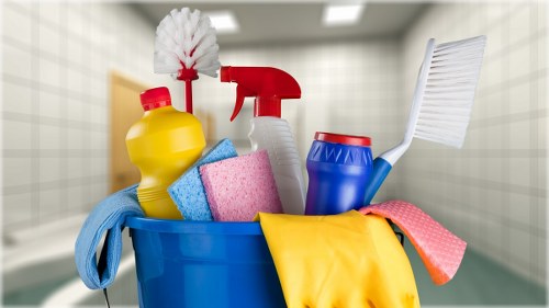 Professional carpet cleaner in Wandsworth cleaning a living room carpet