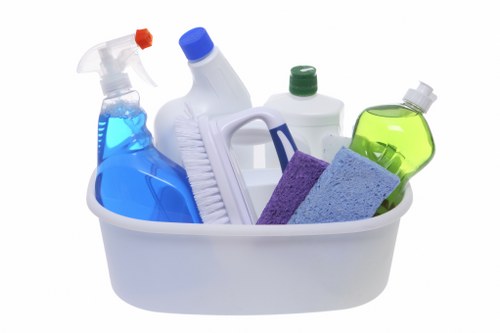 Professional cleaner working in a bright Wandsworth living space