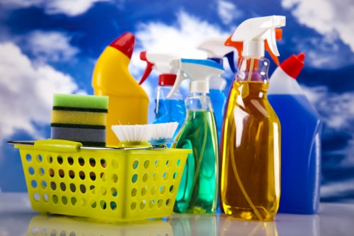 Cleaner reviewing safety measures in a residential property
