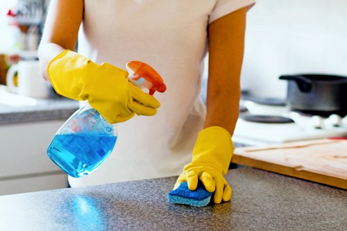 Customer concern being recorded for a cleaning service issue