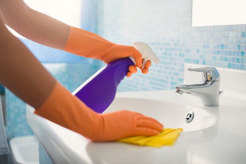 Payment and invoice details for cleaning services