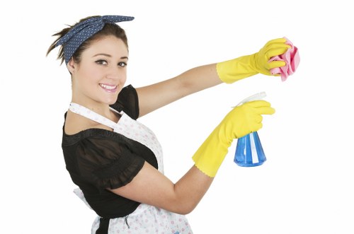 Recurring and specialist home cleaning options in Wandsworth